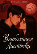 Обложка книги "Влюблённая Ласточка."