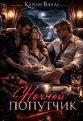 Обложка книги "Ночной попутчик"
