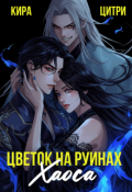 Обложка книги "Цветок на руинах Хаоса"