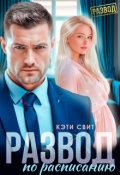 Обложка книги "Развод по расписанию"