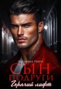 Обложка книги "Сын подруги. Горячий лифт"