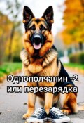 Обложка книги "Однополчанин -2 или перезарядка"