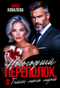 Обложка книги "Новогодний переполох, или Тайны моего мужа"