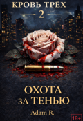 Обложка книги "Кровь Трёх. Книга 2 &mdash; Охота за Тенью"