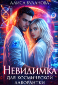 Обложка книги "Невидимка для космической лаборантки"