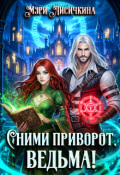 Обложка книги "Сними приворот, ведьма!"