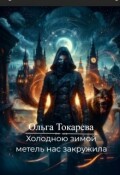Обложка книги "Холодною зимой метель нас закружила"