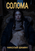 Обложка книги "Солома"