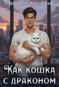 Обложка книги "Как кошка с драконом"