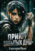 Обложка книги "Приют забытых душ"