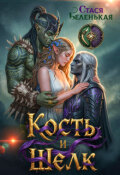 Обложка книги "Кость и Шелк"