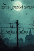 Обложка книги "Проект "Полярный рассвет""