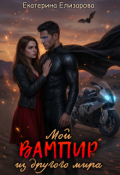 Обложка книги "Мой вампир из другого мира"