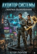 Обложка книги "Аудитор Системы: Маржа выживания"
