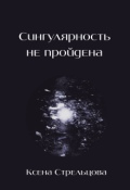 Обложка книги "Сингулярность не пройдена"