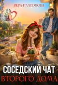 Обложка книги "Соседский чат второго дома"