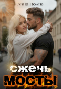Обложка книги "Сжечь мосты"