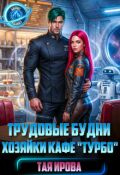 Обложка книги "Трудовые будни хозяйки кафе "Турбо""