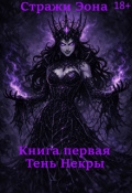 Обложка книги "Стражи Эона. Книга первая. Тень Некры"
