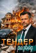 Обложка книги "Тендер на развод"