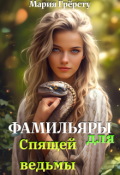 Обложка книги "Фамильяры для спящей ведьмы"