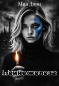 Обложка книги "Пение железа"