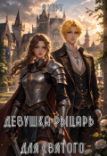 Обложка книги "Девушка-рыцарь для святого"