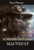 Обложка книги "Не остановишь силой дождь. Мастерат"