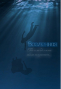 Обложка книги "Вселенная "
