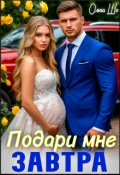 Обложка книги "Подари мне Завтра"