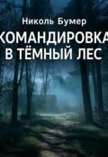 Обложка книги "Командировка в темный лес"