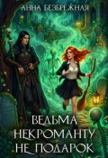Обложка книги "Ведьма некроманту не подарок"