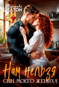 Обложка книги "Нам нельзя. Сын моего жениха"