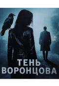 Обложка книги "Тень Воронцова"
