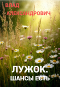 Обложка книги "Лужок.Шансы есть"