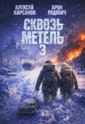 Обложка книги "Сквозь метель 3"