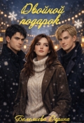 Обложка книги "Двойной подарок"