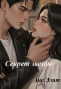 Обложка книги "Секрет зведды"