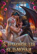Обложка книги "5 драконов для ведьмочки"