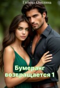 Обложка книги "Бумеранг возвращается 1"