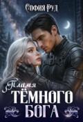 Обложка книги "Пламя темного бога"