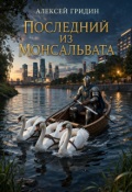 Обложка книги "Последний из Монсальвата"