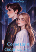 Обложка книги "Созвездия сводных душ"