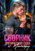 Обложка книги "Сборник эротических сцен к Мажору"