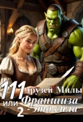 Обложка книги "111 друзей Милы или Франшиза - это сила. Том 2"