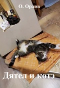 Обложка книги "Дятел и котэ"