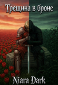 Обложка книги "Трещина в броне"