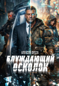 Обложка книги "Блуждающий осколок"