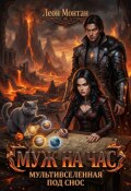 Обложка книги "Муж на час. Мультивселенная под снос"