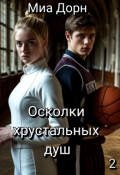 Обложка книги "Осколки хрустальных душ. Том второй"